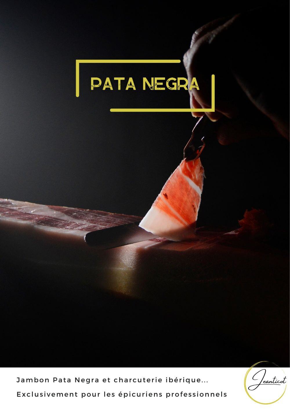 02_visueldemarque2_patanegra